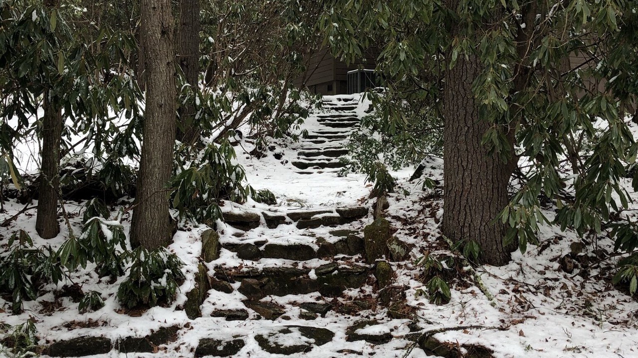 Photo of Outdoor in Brevard