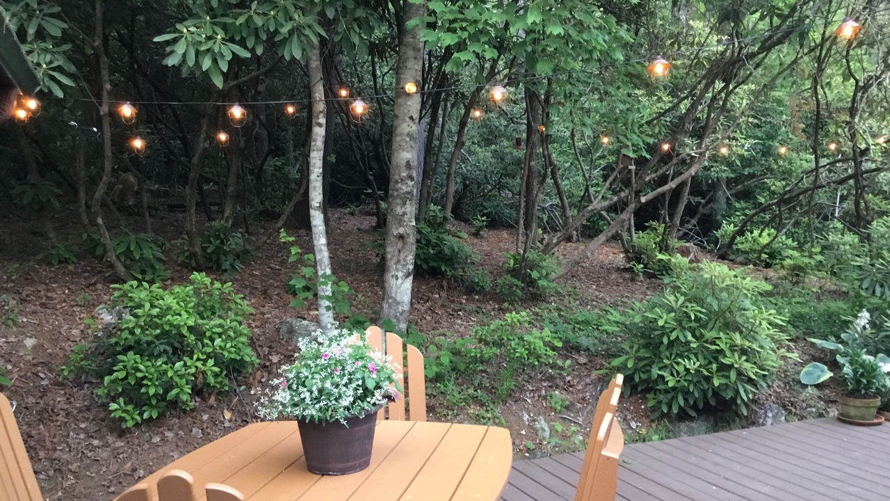Photo of Outdoor in Brevard