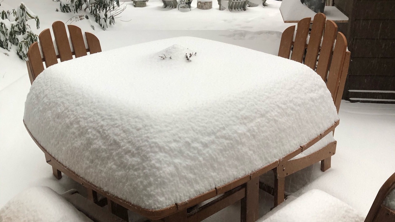 Photo of Outdoor in Brevard