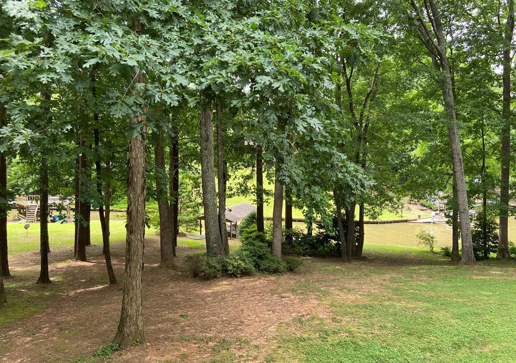 Photo of Outdoor in Littleton