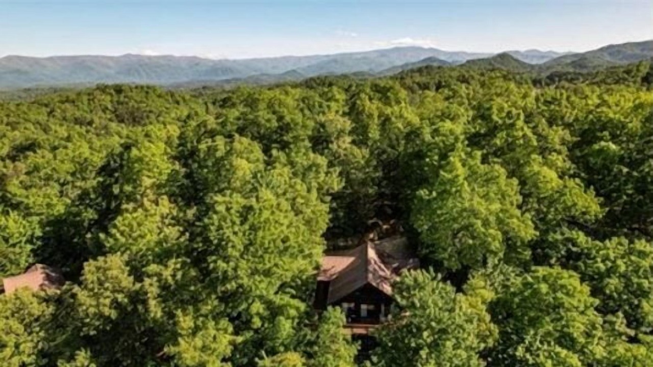 Photo of Outdoor in Bryson City