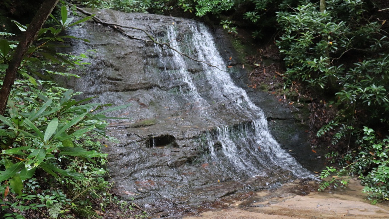 Photo of Outdoor in Bryson City
