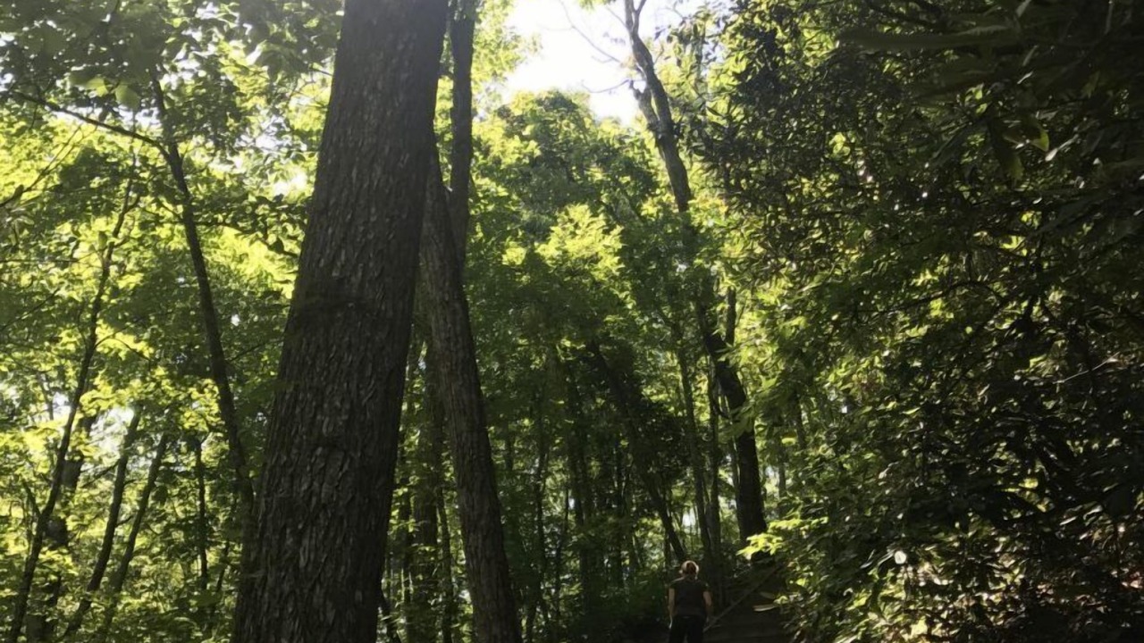 Photo of Outdoor in Bryson City