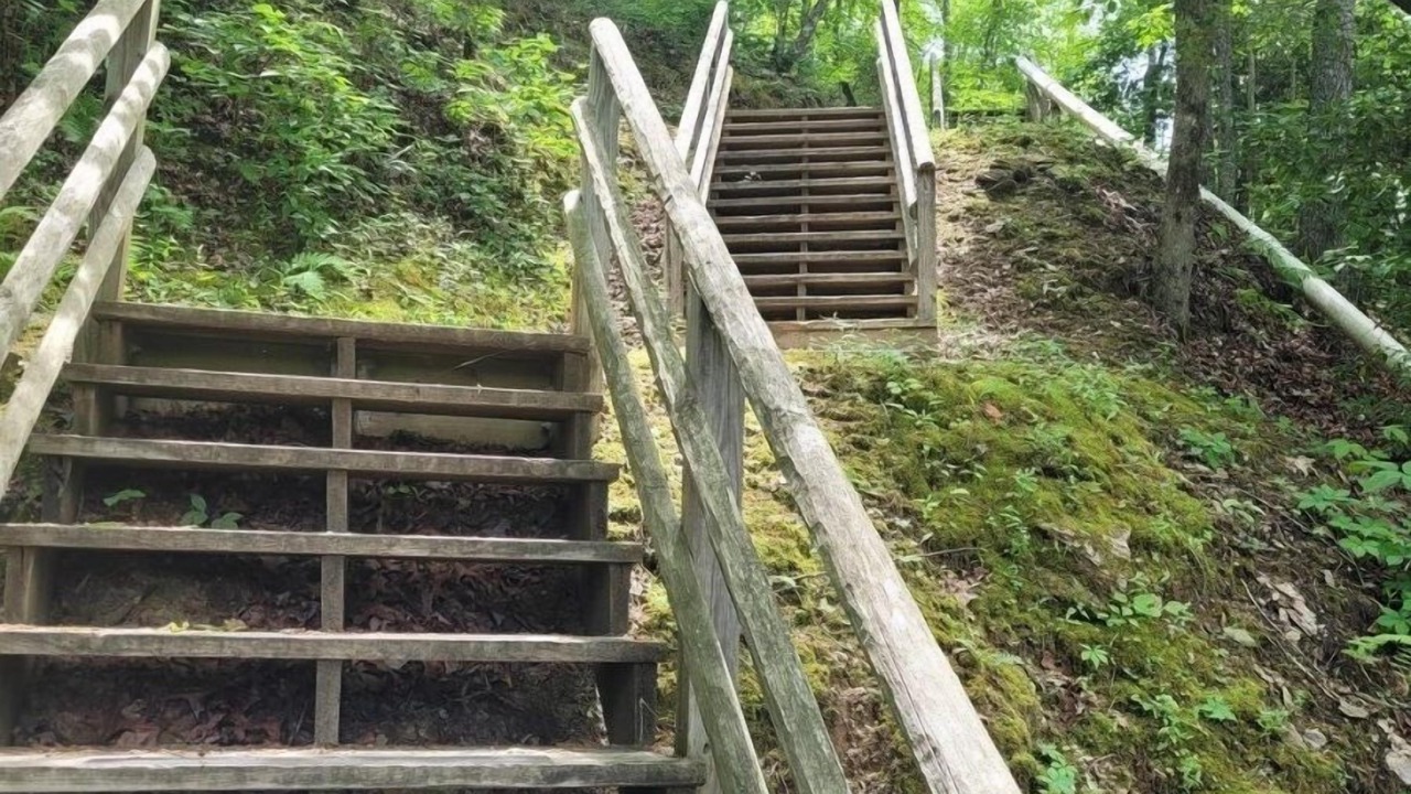 Photo of Outdoor in Bryson City