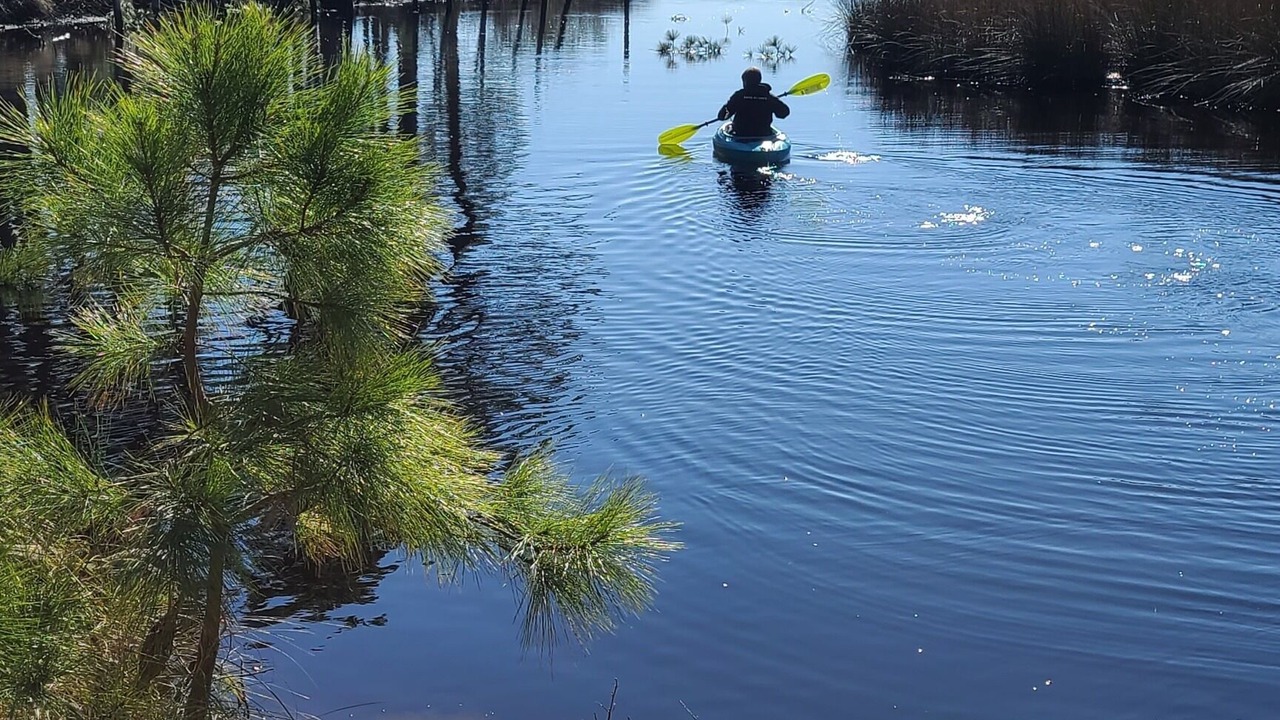 Photo of Others in Atlantic