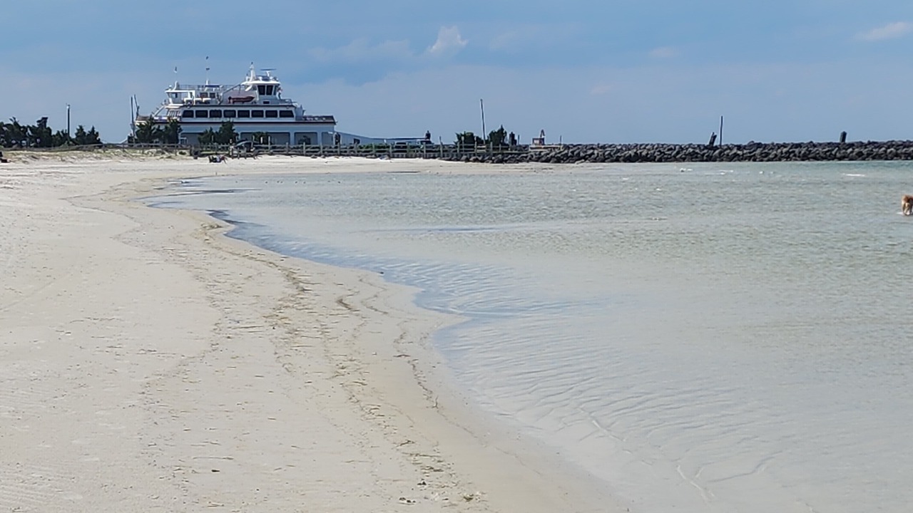 Photo of Others in Atlantic