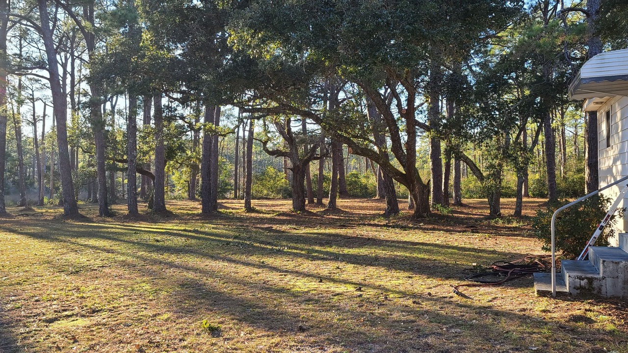 Photo of Outdoor in Atlantic