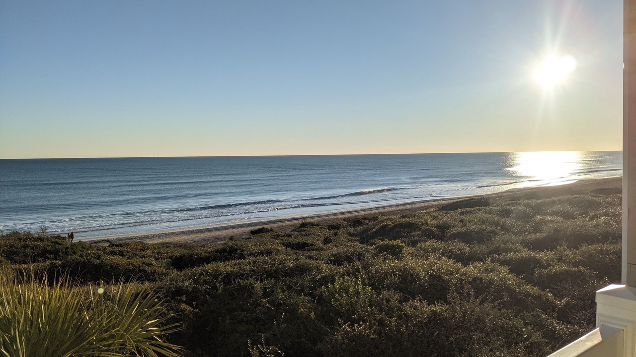 Photo of Others in Indian Beach