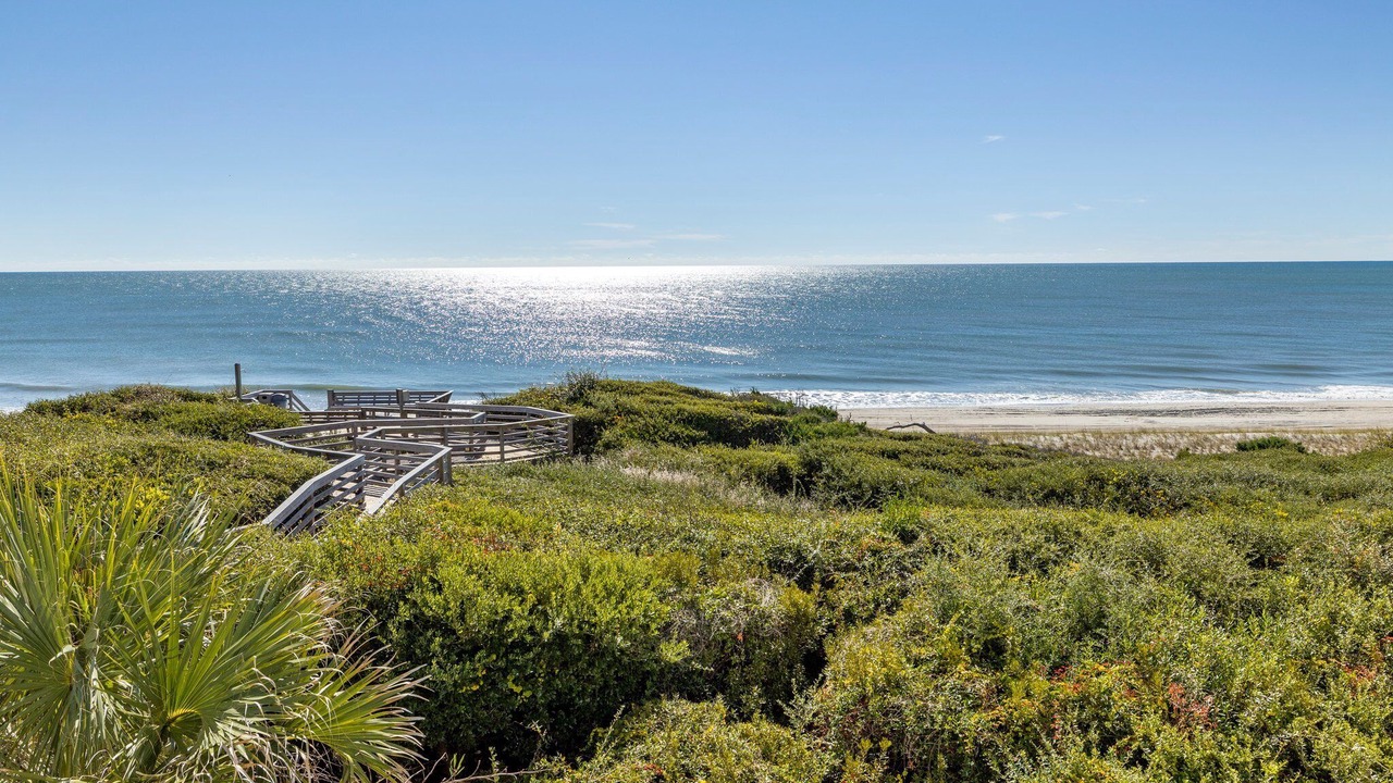 Photo of Others in Indian Beach