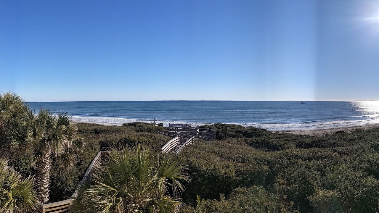 Photo of Others in Indian Beach