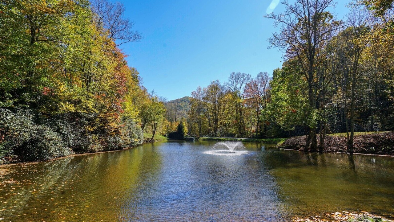 Photo of Others in Boone