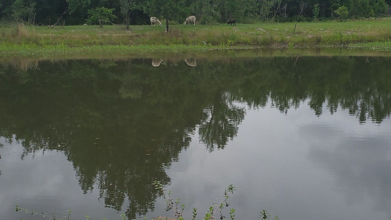 Photo of Outdoor in Cape Fear