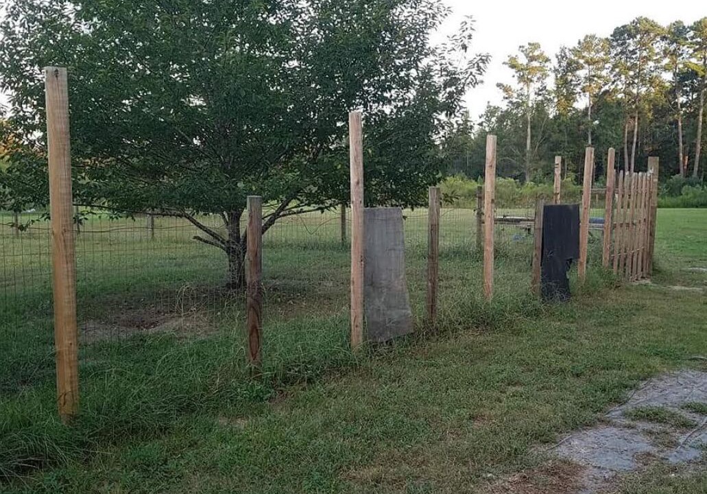 Photo of Outdoor in Cape Fear