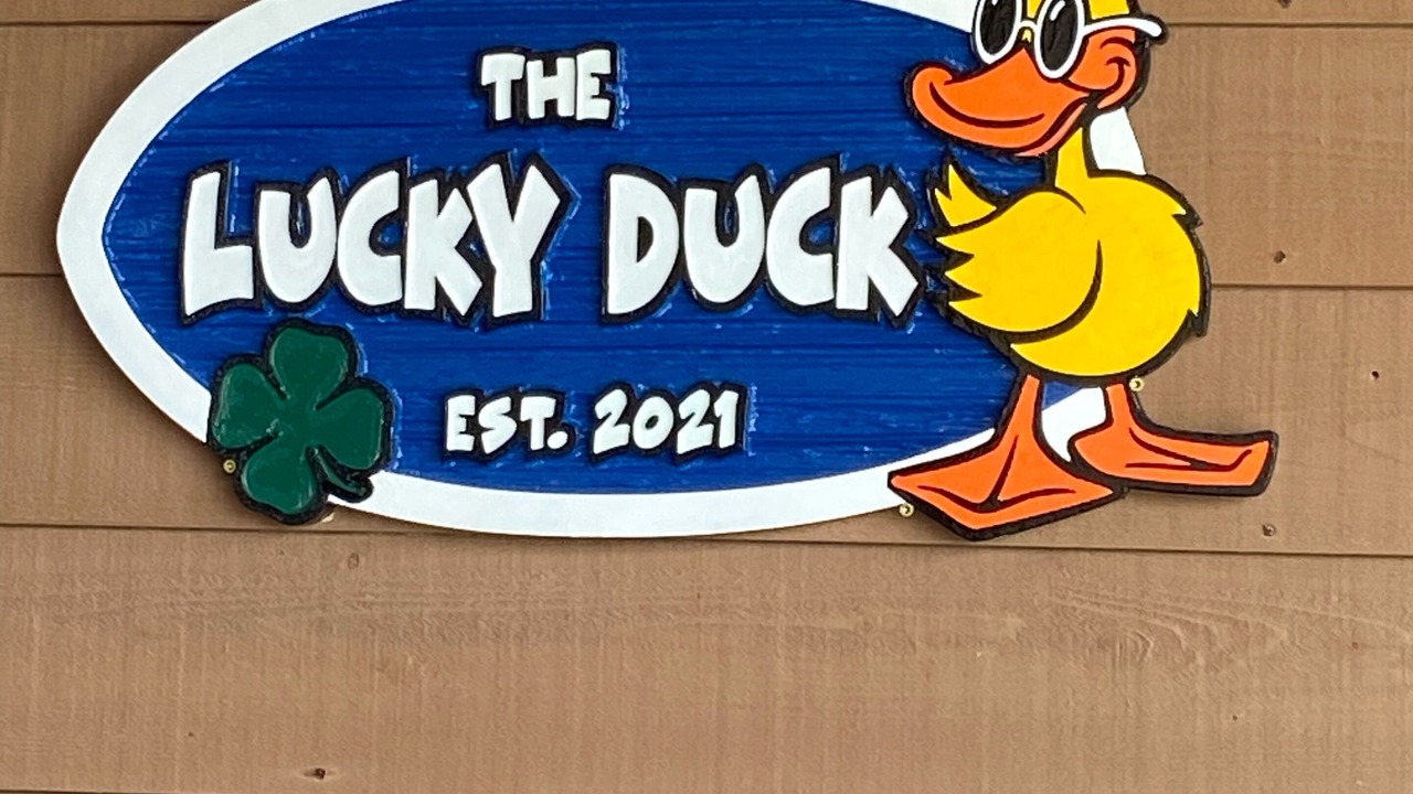 Photo of Others in Duck
