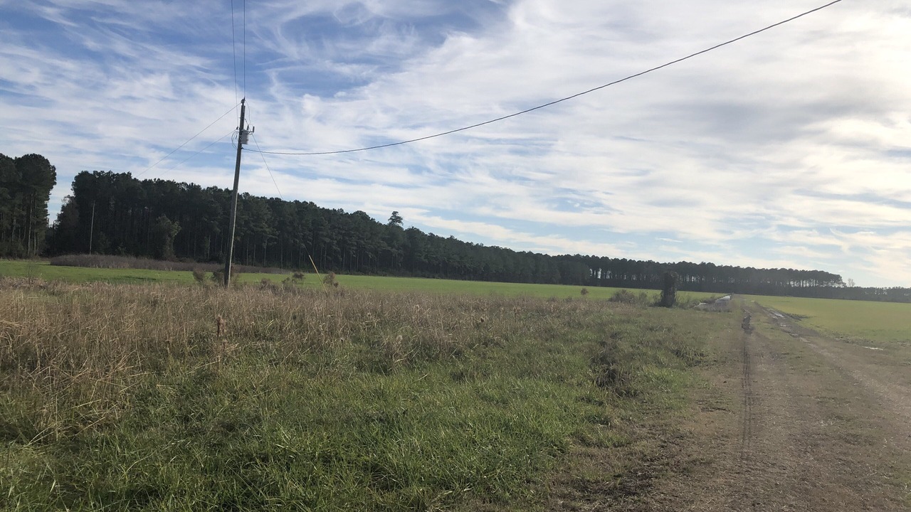 Photo of Outdoor in Belhaven