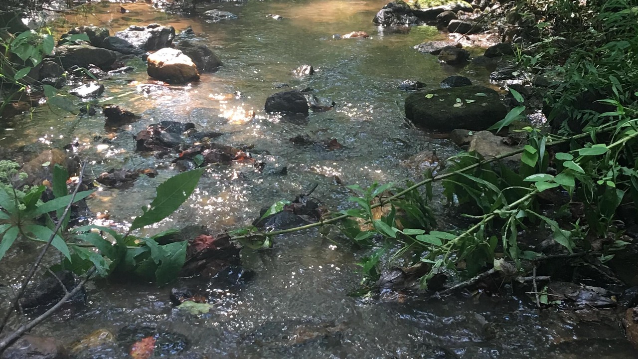 Photo of Others in Franklin