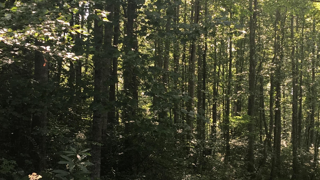 Photo of Others in Franklin