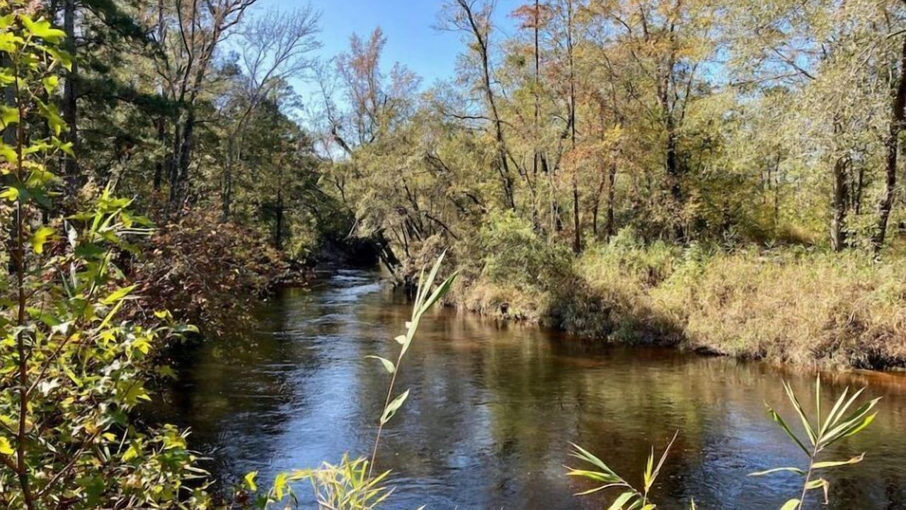 Photo of Others in South View