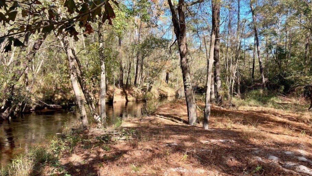 Photo of Outdoor in South View