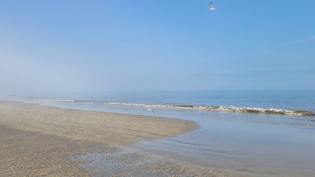 Photo of Others in Hilton Head Island
