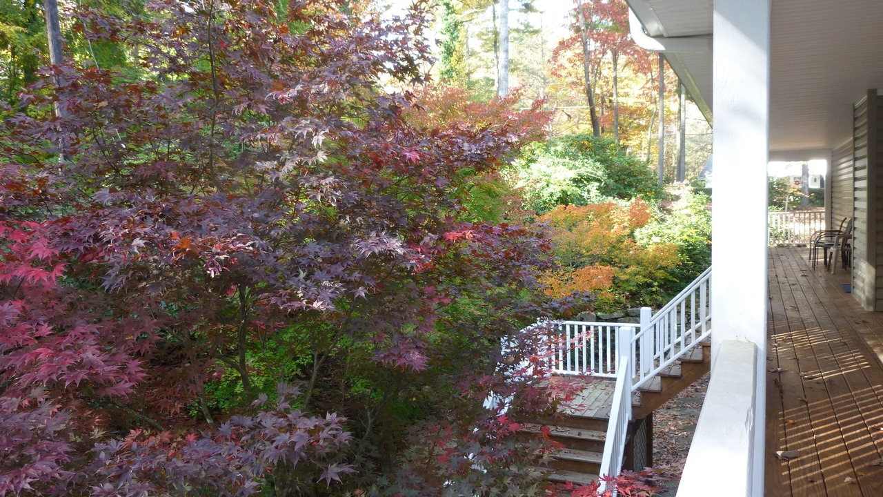 Photo of Outdoor in Laurel Park