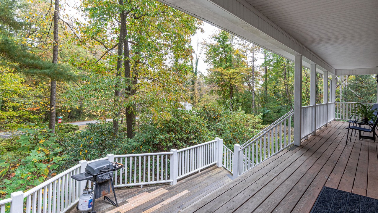 Photo of Outdoor in Laurel Park