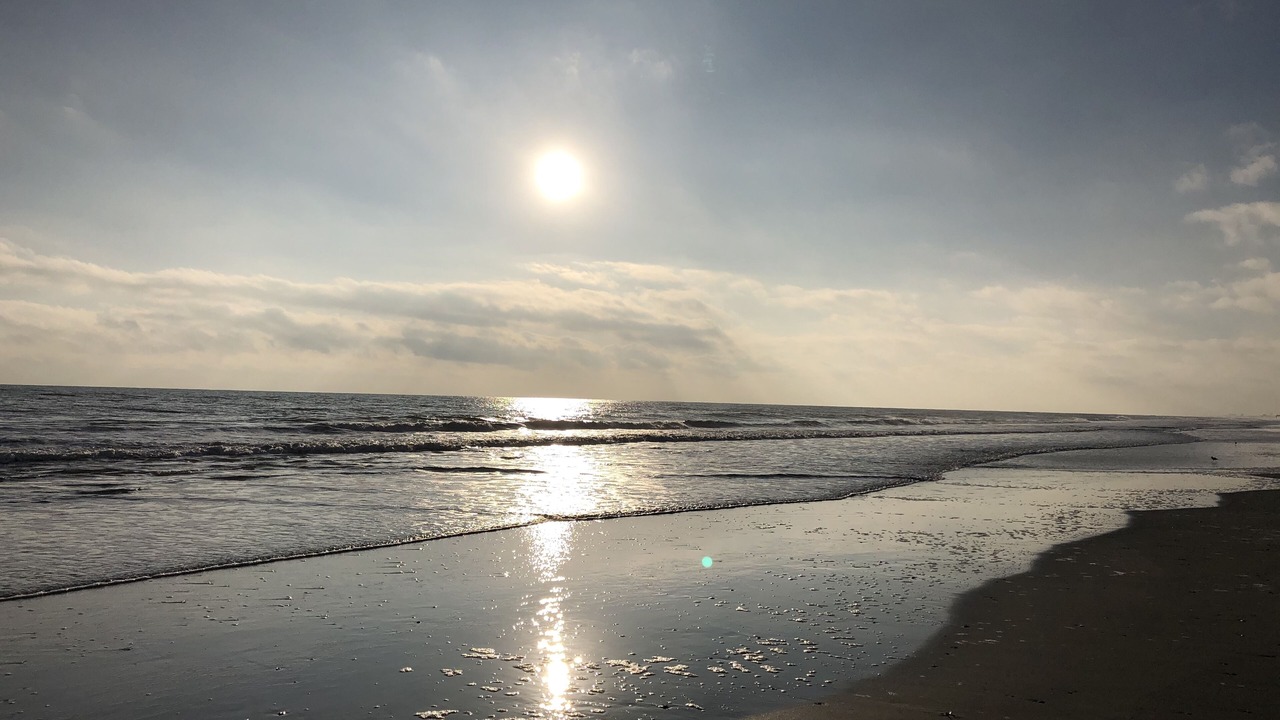 Photo of Others in Atlantic Beach