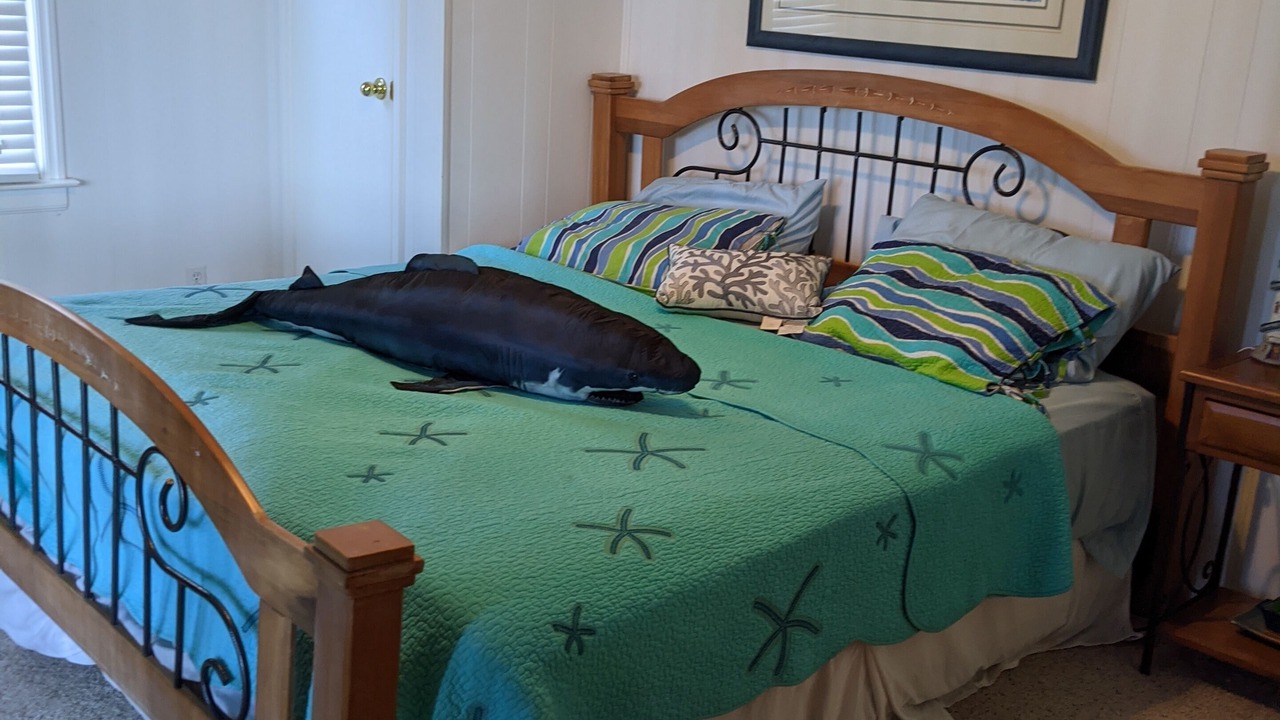 Photo of Others in Hatteras