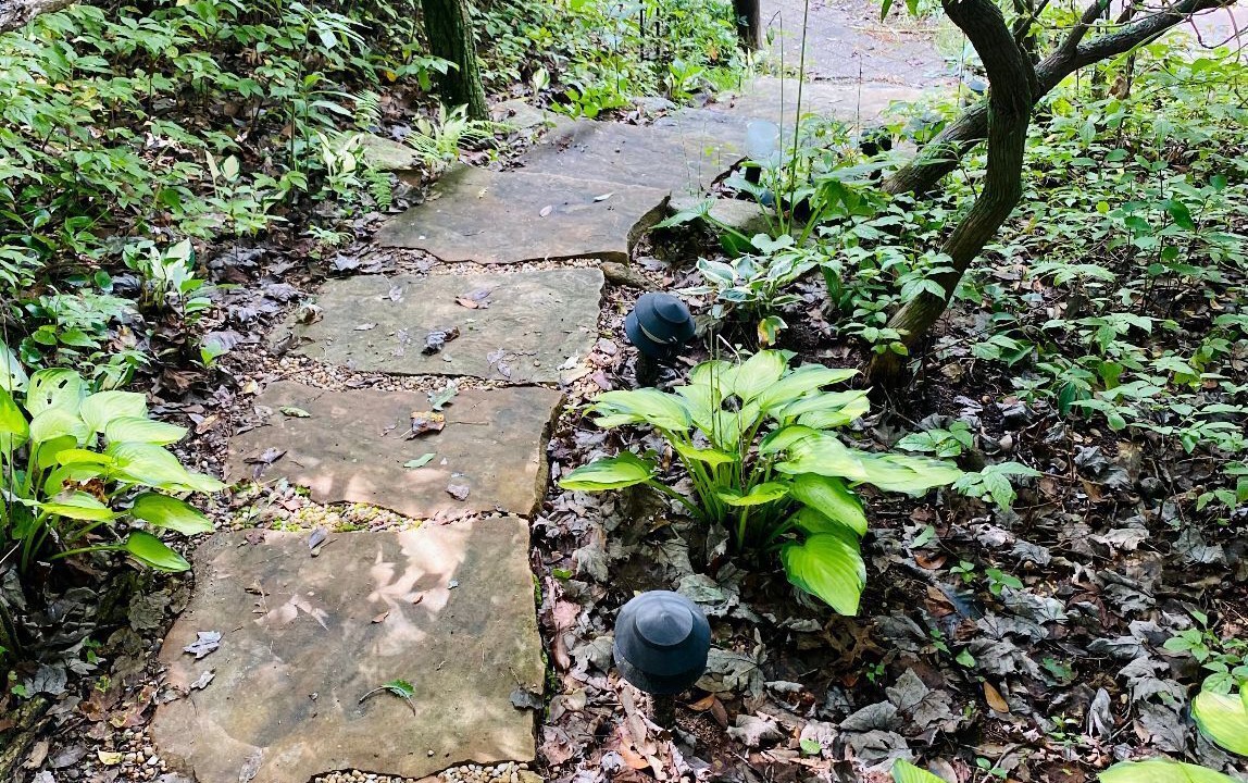 Photo of Outdoor in Cedar Hill