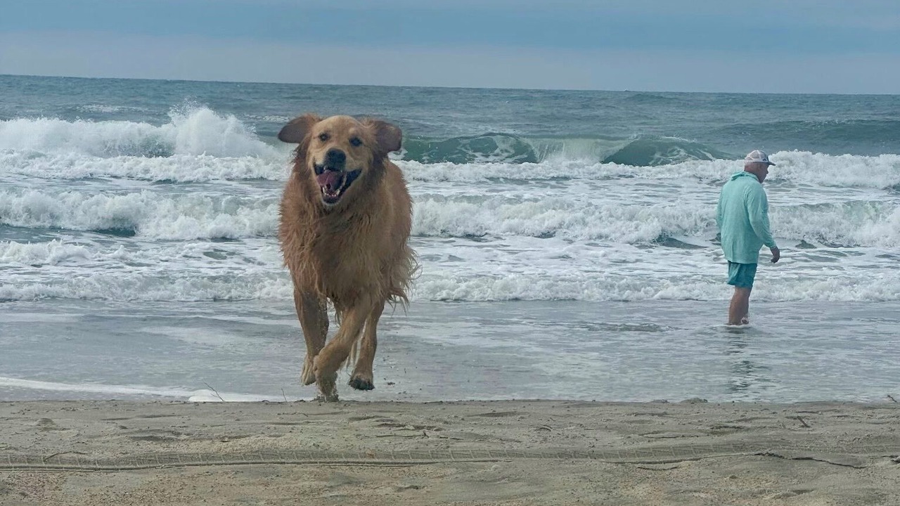 Photo of Others in Emerald Isle