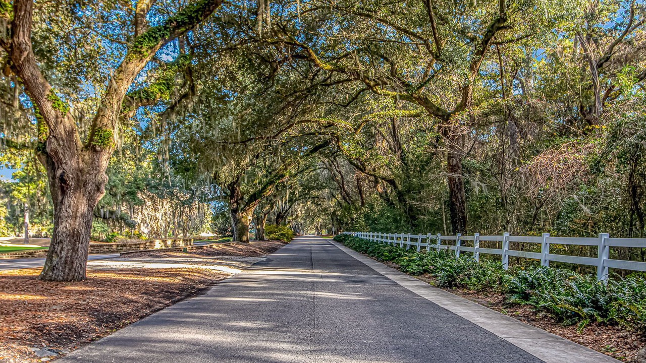 Photo of Others in Pawleys Island