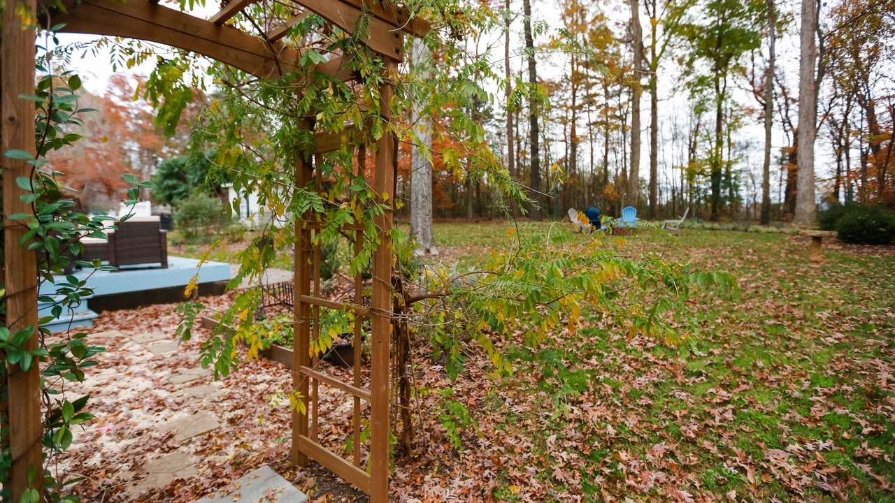 Photo of Outdoor in Stallings