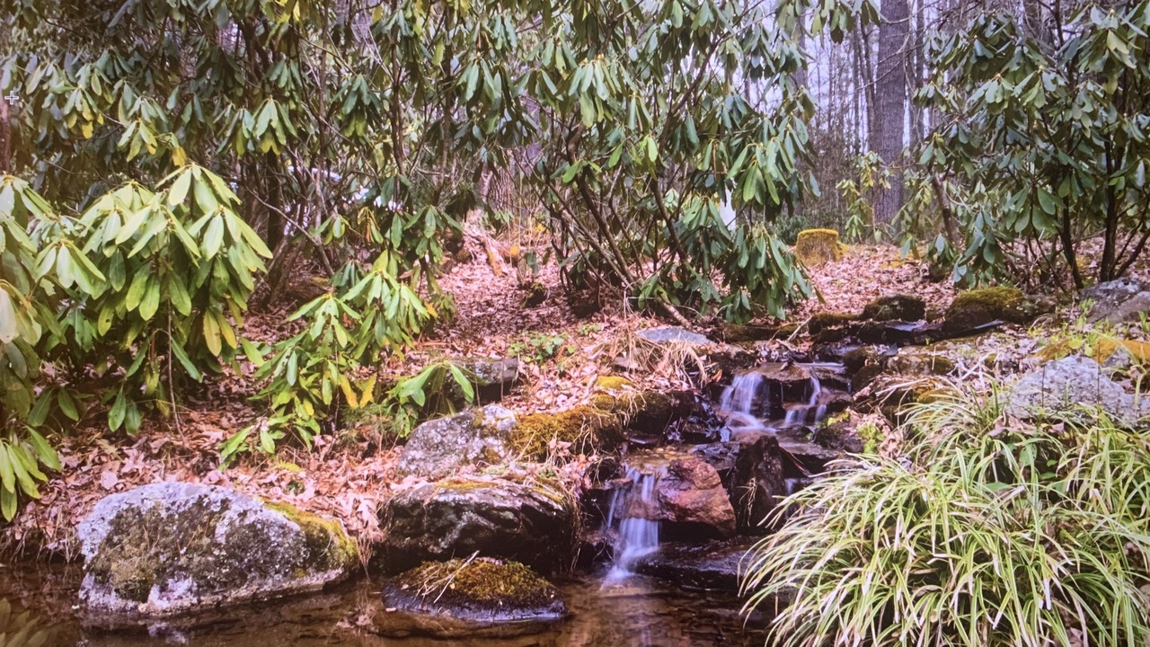 Photo of Outdoor in Cashiers