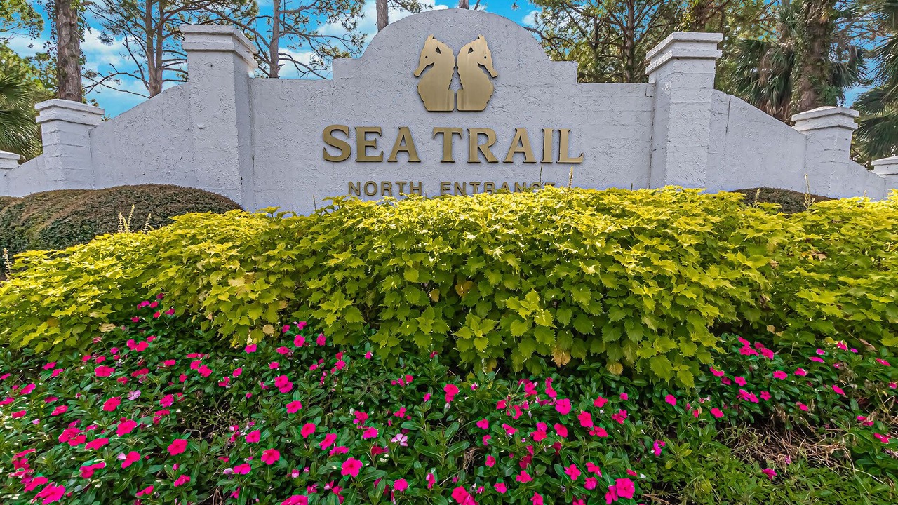 Photo of Others in Sea Trail