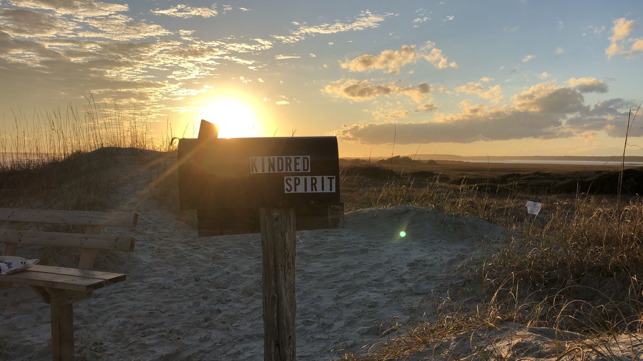 Photo of Others in Sea Trail