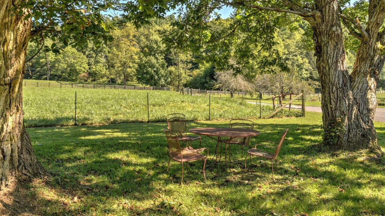 Photo of Outdoor in Weaverville