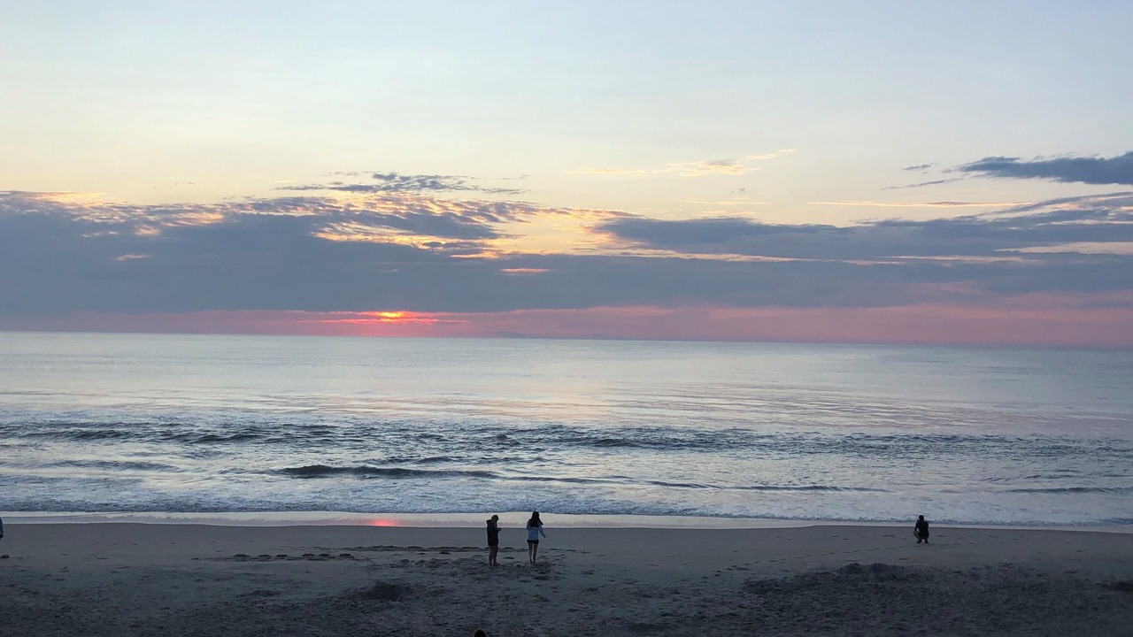 Photo of Others in Corolla