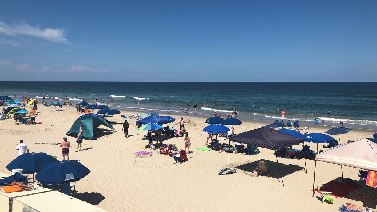 Photo of Others in Corolla