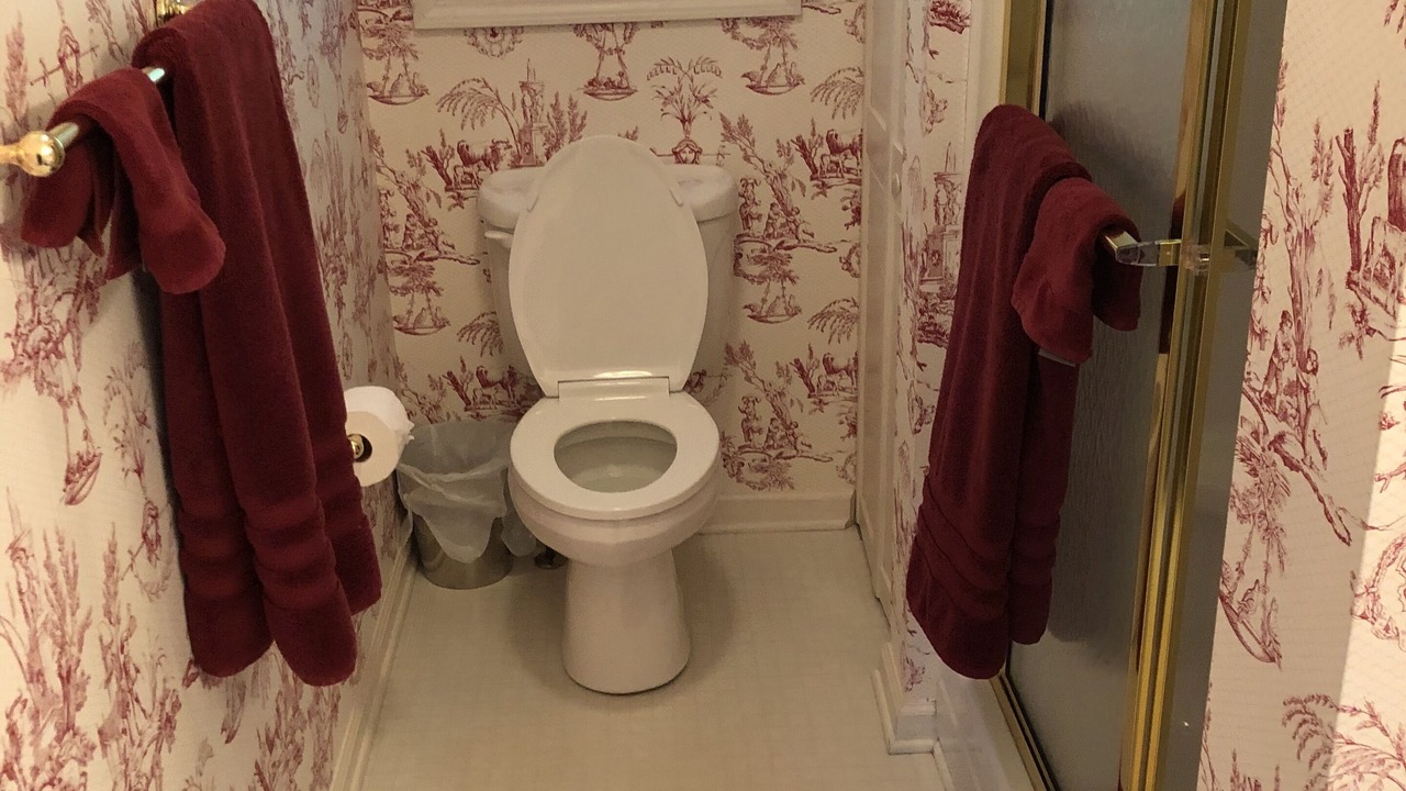 Photo of Bathroom in Waynesville