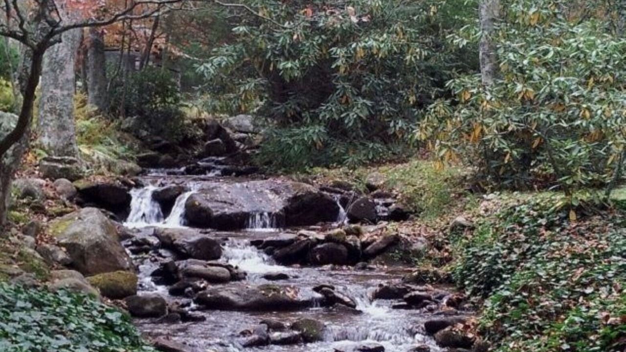 Photo of Others in Canton
