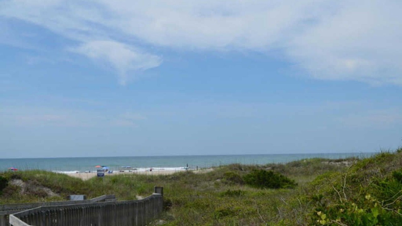 Photo of Others in Morehead City