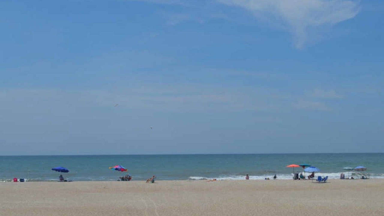 Photo of Others in Morehead City