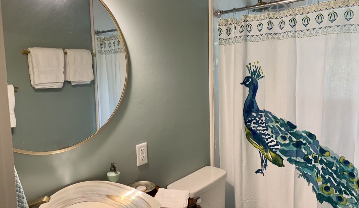 Photo of Bathroom in Flat Rock