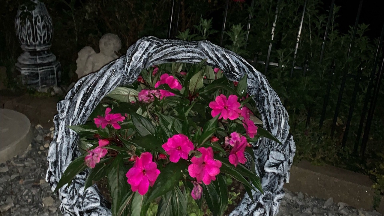 Photo of Outdoor in Hendersonville