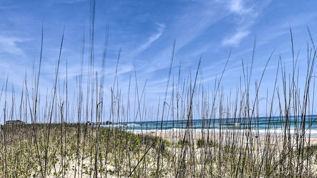 Photo of Others in South Nags Head