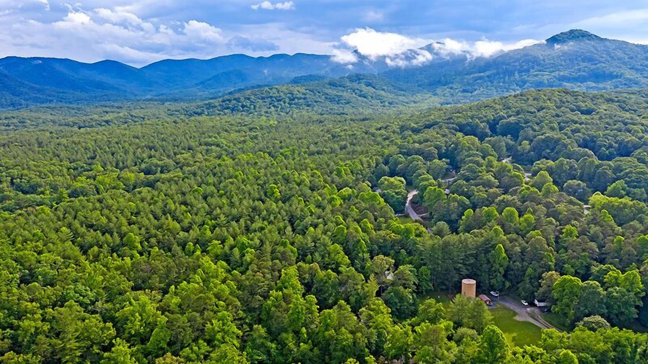 Photo of Others in Bent Creek