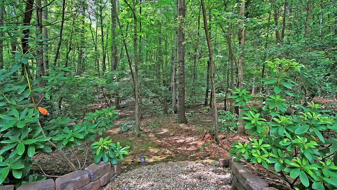 Photo of Others in Bent Creek