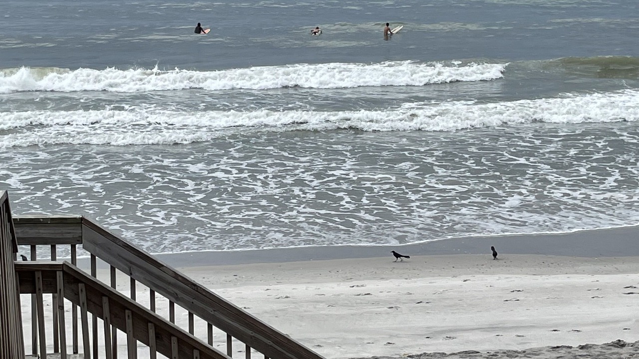 Photo of Others in Surf City