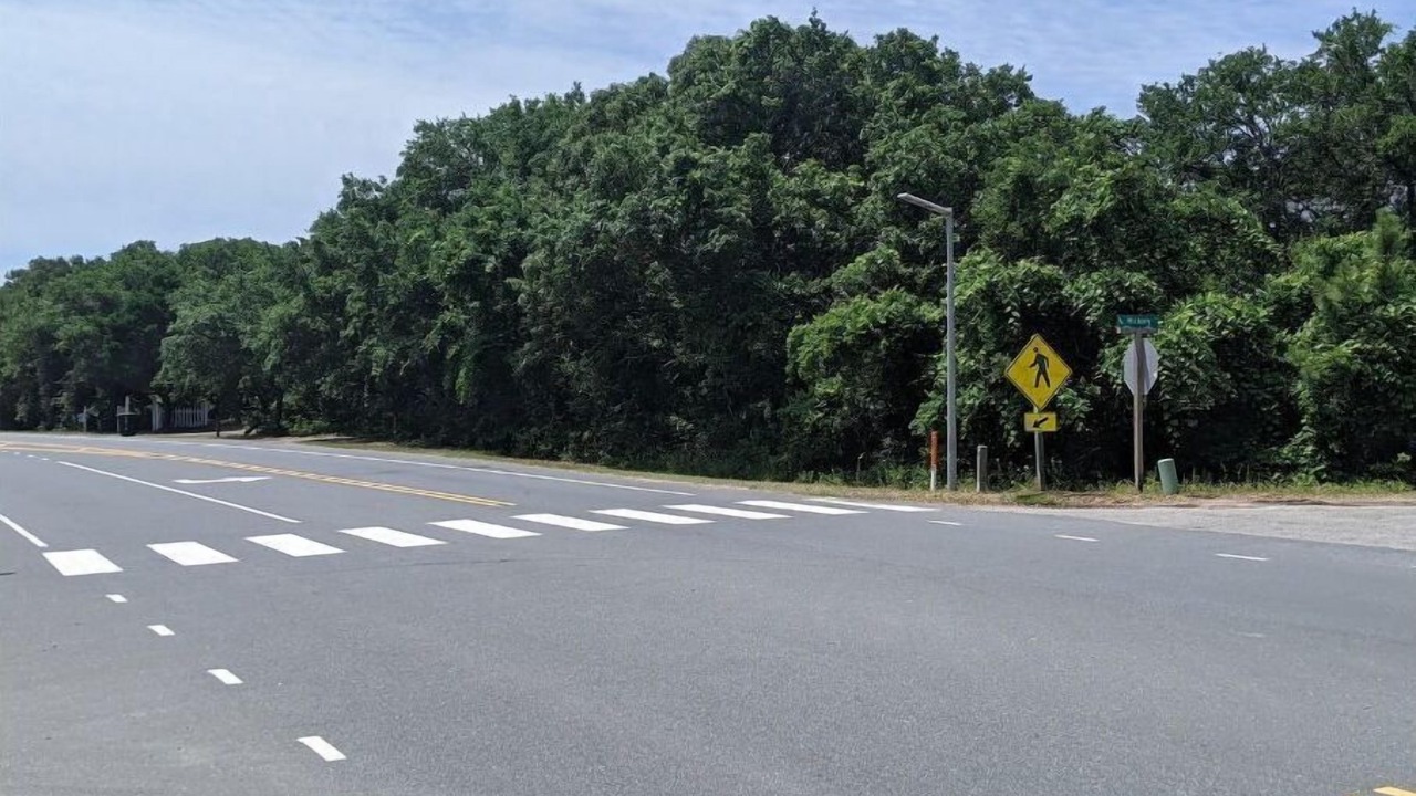 Photo of Outdoor in Southern Shores