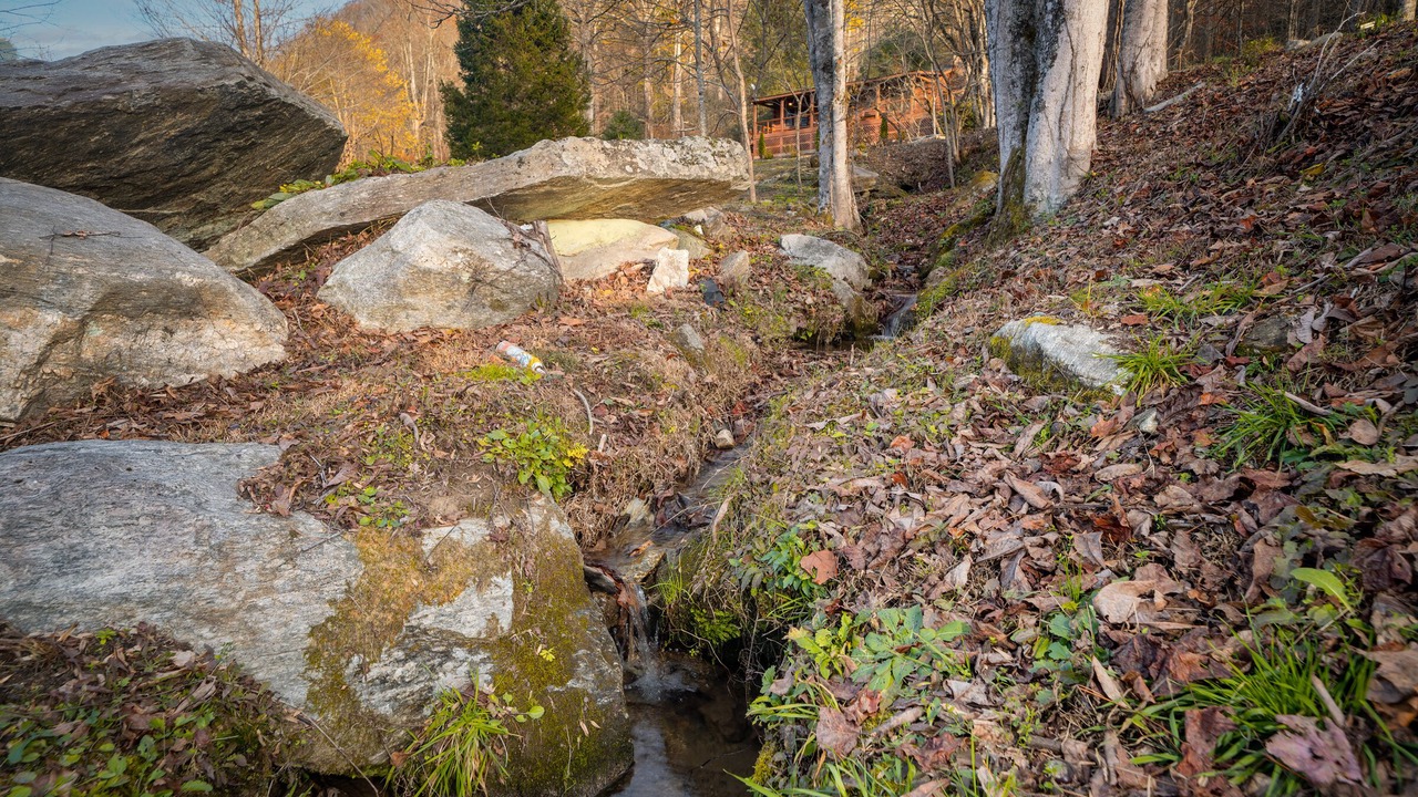 Photo of Others in Hendersonville